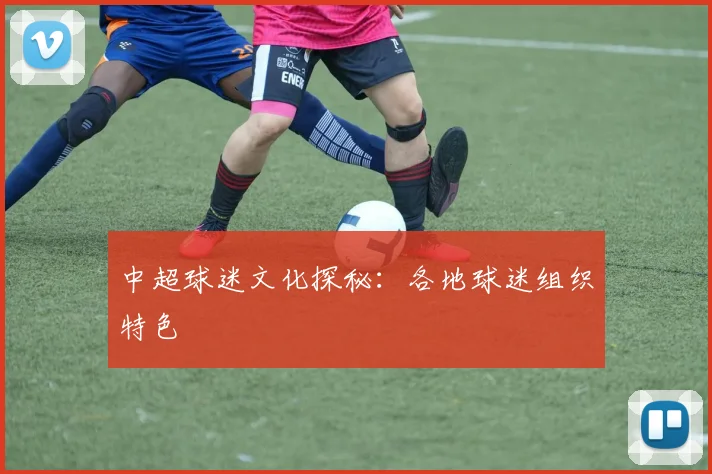 中超球迷文化探秘：各地球迷组织特色